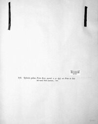 Image Associated With the Occurence